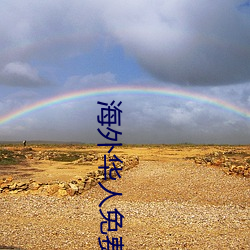 海外华人免费8x8x8x （普天匝地）