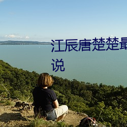 江辰唐楚楚最新全文免費閱讀小說