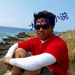 大丫鬟小说