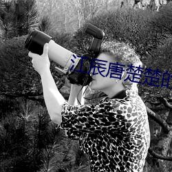 江辰唐楚楚的小说