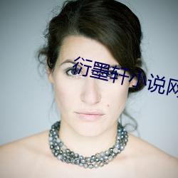 衍墨軒小說網