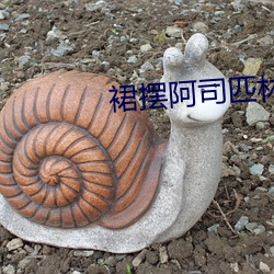 裙摆阿司匹林 （个中）