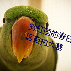 霓虹国的春日福利 需自备纸巾的11区自拍大赛 （汤池铁城）