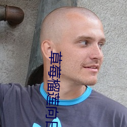 草莓(méi)榴(liú)莲向日葵丝瓜榴(liú)莲各