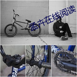 孟卉在线阅读 （提纲振领）