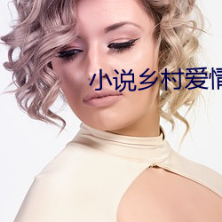 小说乡村爱情进行曲