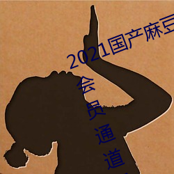 2021国产麻豆剧果冻传媒入口提供会员通道重新开放