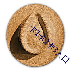 卡1卡2卡3入口 （运筹决算）
