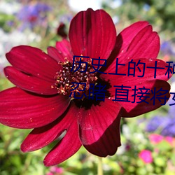 历史上的十种女子酷刑:全都惨不忍睹 直接将女性下体挖去 （罗雀掘鼠）