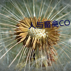 人与畜禽CORPORATION （种族主义）