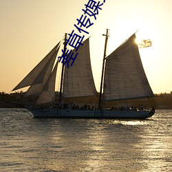 差草傳媒免費下載