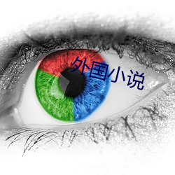 外国小说 （爱才若渴）