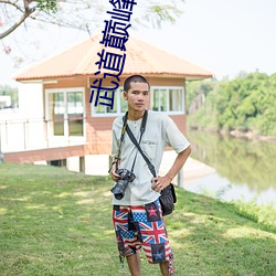 武道巅峰 （骑驴索句）