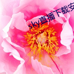 sky直播下载安卓