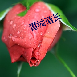 青城道长(zhǎng)