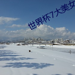世界杯(bēi)7大美女