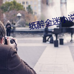 纸(紙)醉金迷(迷)小说