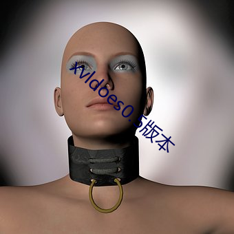 xvldoes0.5版本