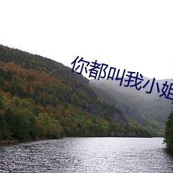 你都叫我小姐了小鱼儿花无缺