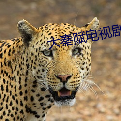 大秦賦電視劇免費觀看全集