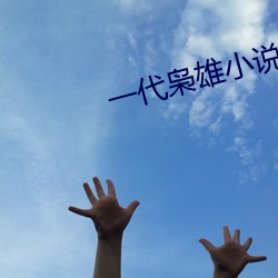 一代枭雄小(小)说