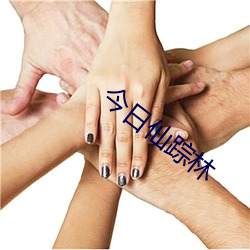 今(今)日(日)仙踪林(林)