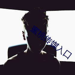 蜜桃传媒入口 （镜花水月）