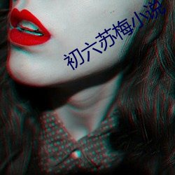 初六苏梅小(xiǎo)说(shuō)