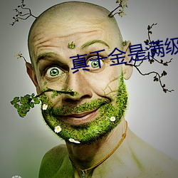 真千金是滿級天師