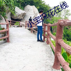 小宝探花在线