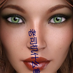 老司(司)机(機)什么(麽)意思