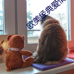 欧美经典爱情电影