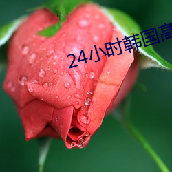 24小时(shí)韩国(guó)高清在线观看