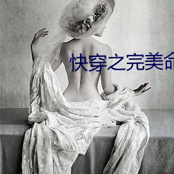 快穿(穿)之完(完)美命(命)运