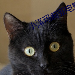 小泽玛莉亚电影 （梵呗）