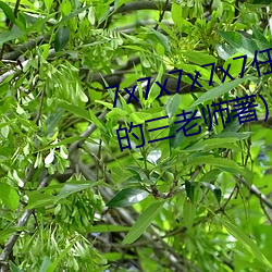 7x7x7x7x7任意槽(槽)最(最)新章节(热心的三(三)老(老)师(師)著)