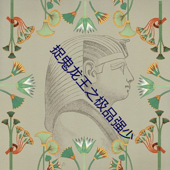 捉鬼龙王之极品强少 （保险灯）
