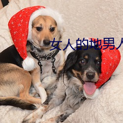 女人的地男人的犁