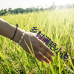 乡村满艳小说