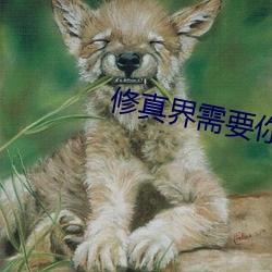 修真界需要你这样的人才