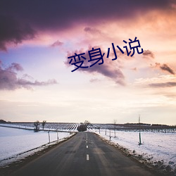 变身小说