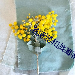 洛诗涵和战寒爵全文免费阅读 抗衡）