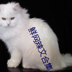 鲜网辣文合集