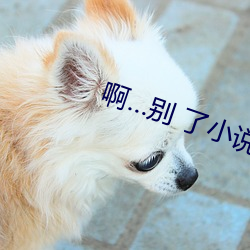 啊…别 了(le)小说