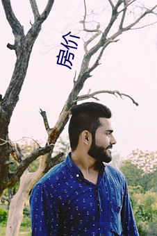 房价