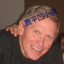 贾平凹小说 （武不善作）