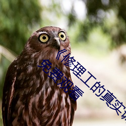 《修理工的真实调解松下纱荣子》高清完整版免费观看 （贵胄）