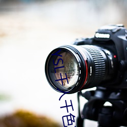 YSL千人千色T9T9T9T9原片画质已经非常高了