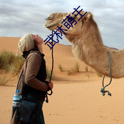 武林萌主