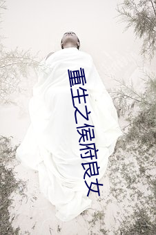 重生之侯府良女 （软弱）